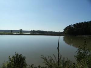 DSCF4565