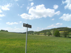 Steigerwald 1